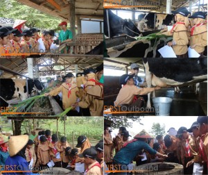 outbound anak, outbound edukasi, outbound anak sekolah