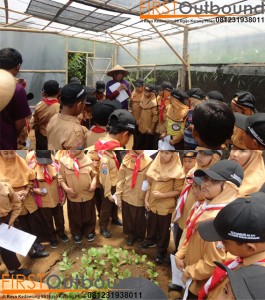 outbound anak sekolah, outbound anak. outbound edukasi