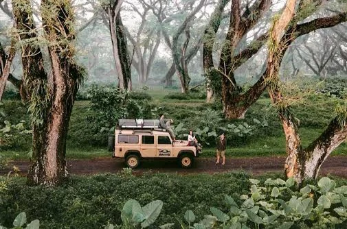 Land Rover Defender melintasi jalur hutan dalam sesi safari offroad